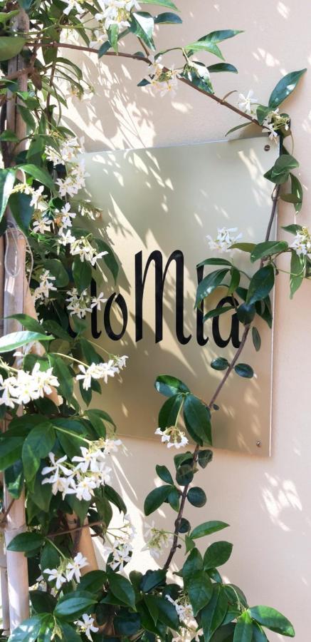 Solomia Hotel Panzano in Chianti Kültér fotó